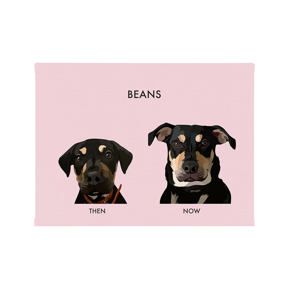 Custom Then vs Now Pet Portrait - Image 60
