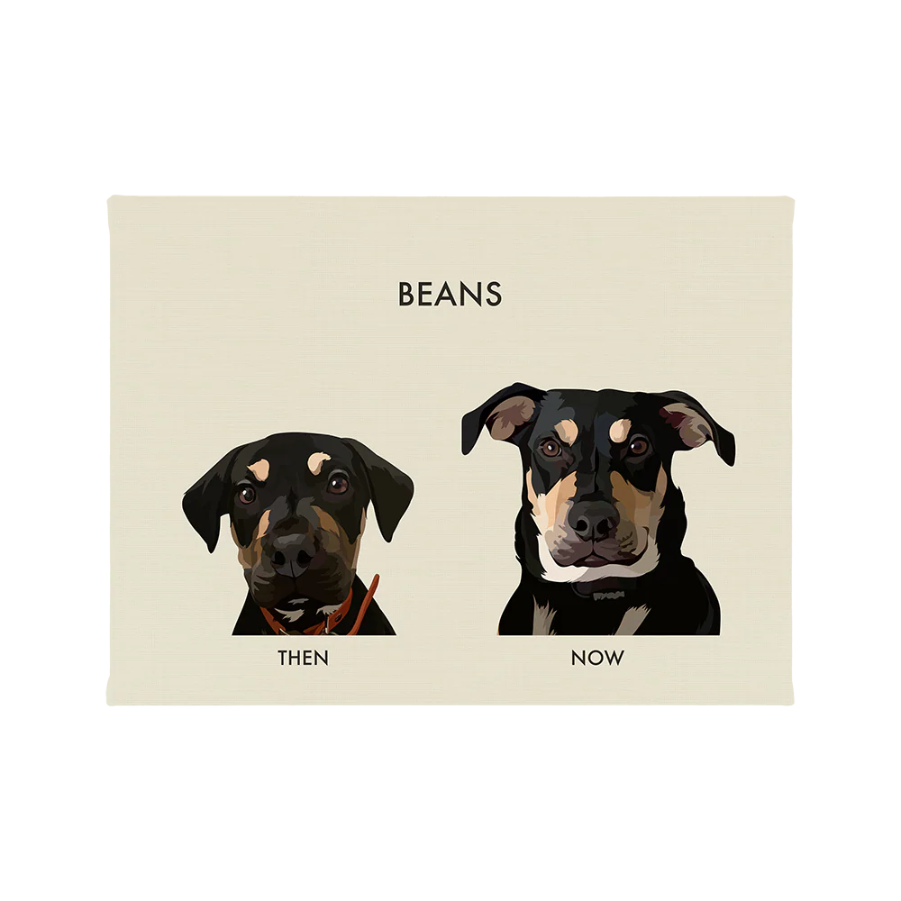 Custom Then vs Now Pet Portrait - Image 62