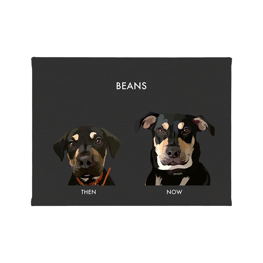Custom Then vs Now Pet Portrait - Image 63