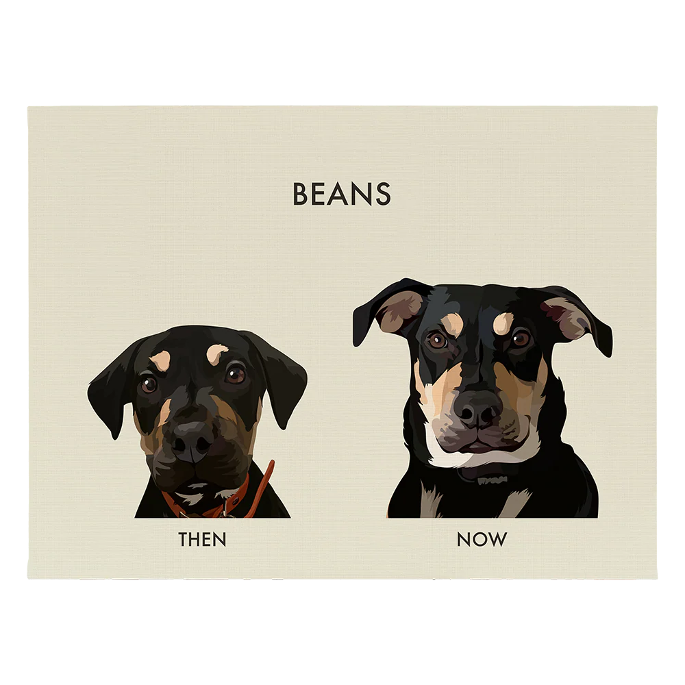 Custom Then vs Now Pet Portrait - Image 65