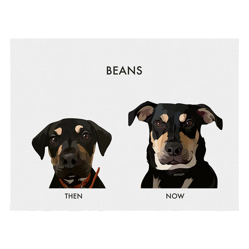 Custom Then vs Now Pet Portrait - Image 66