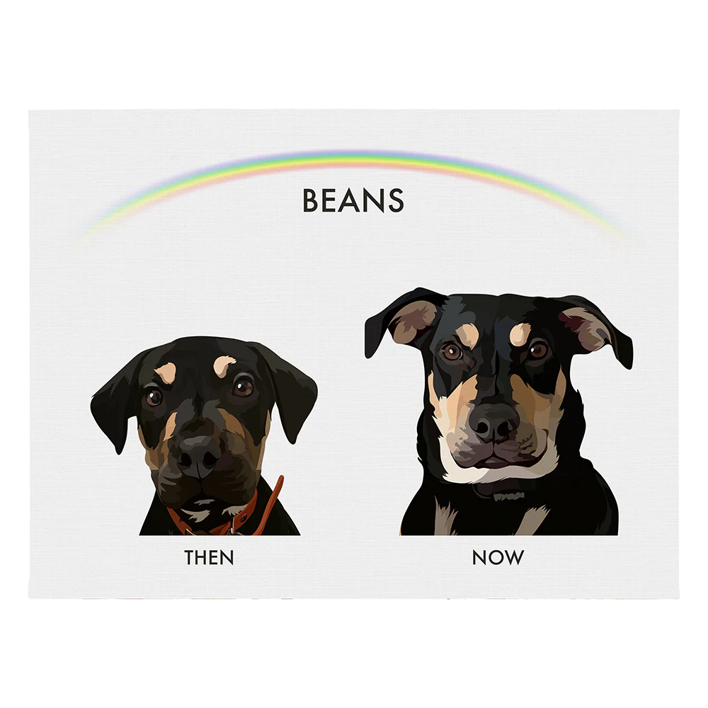 Custom Then vs Now Pet Portrait - Image 67