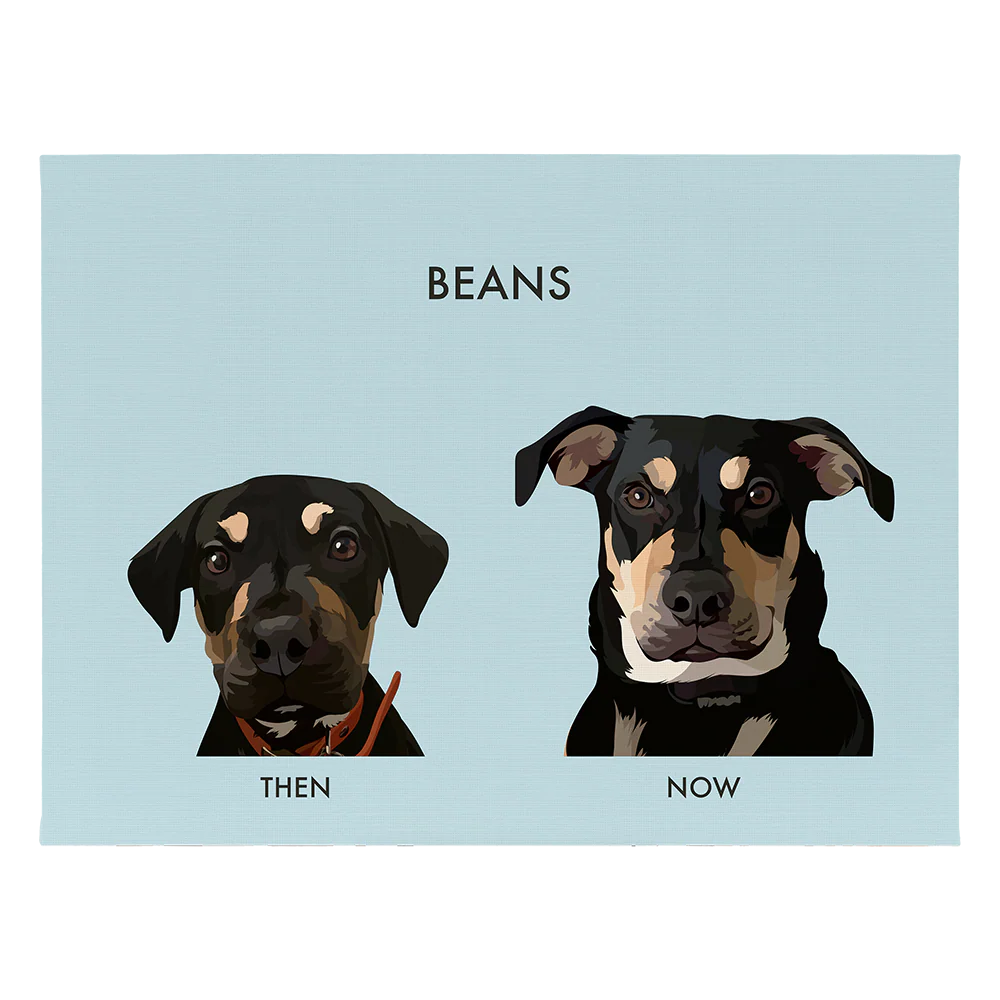 Custom Then vs Now Pet Portrait - Image 68