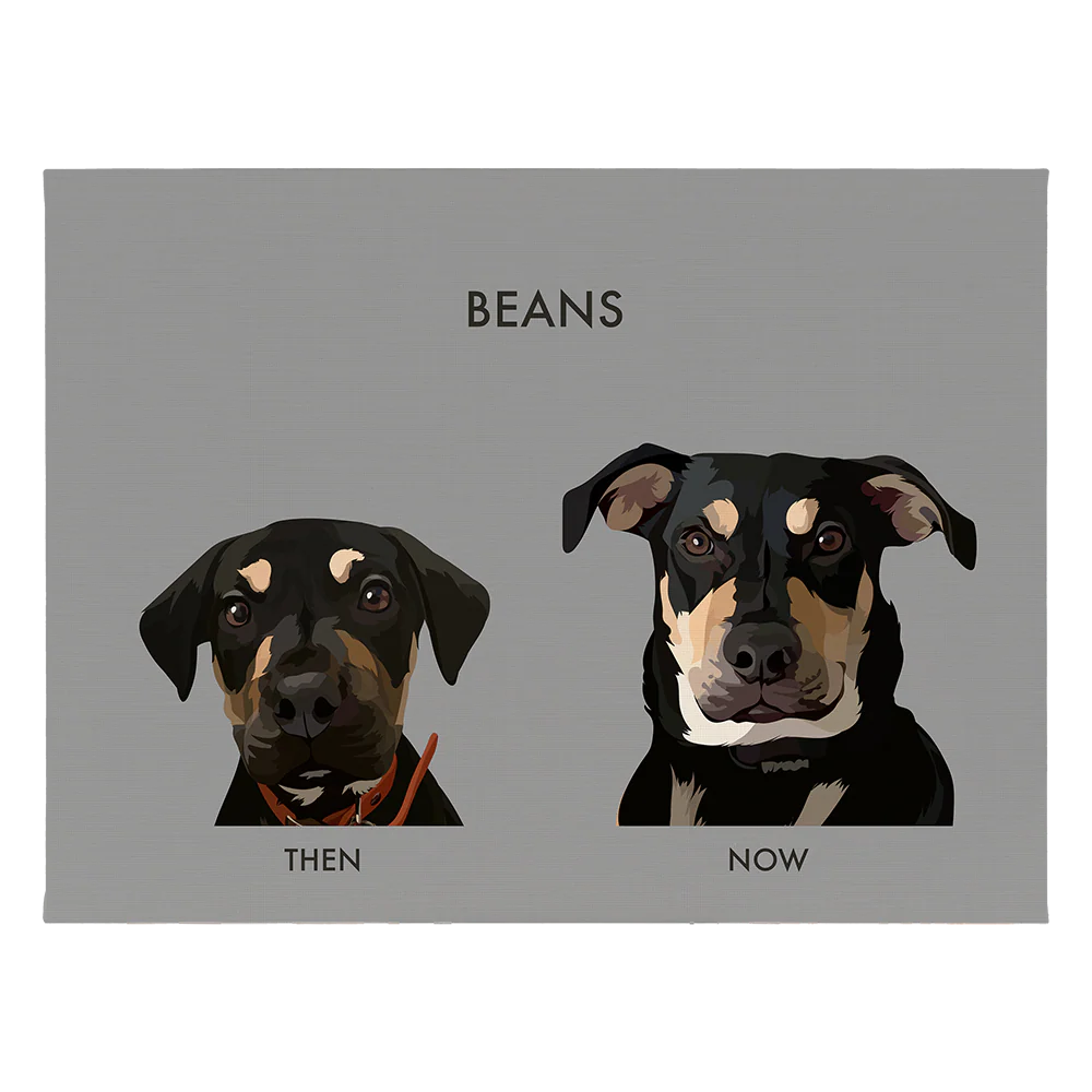 Custom Then vs Now Pet Portrait - Image 69