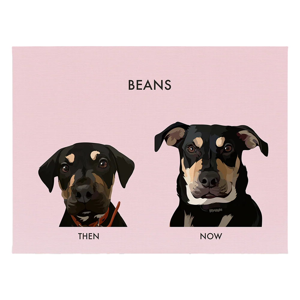 Custom Then vs Now Pet Portrait - Image 70