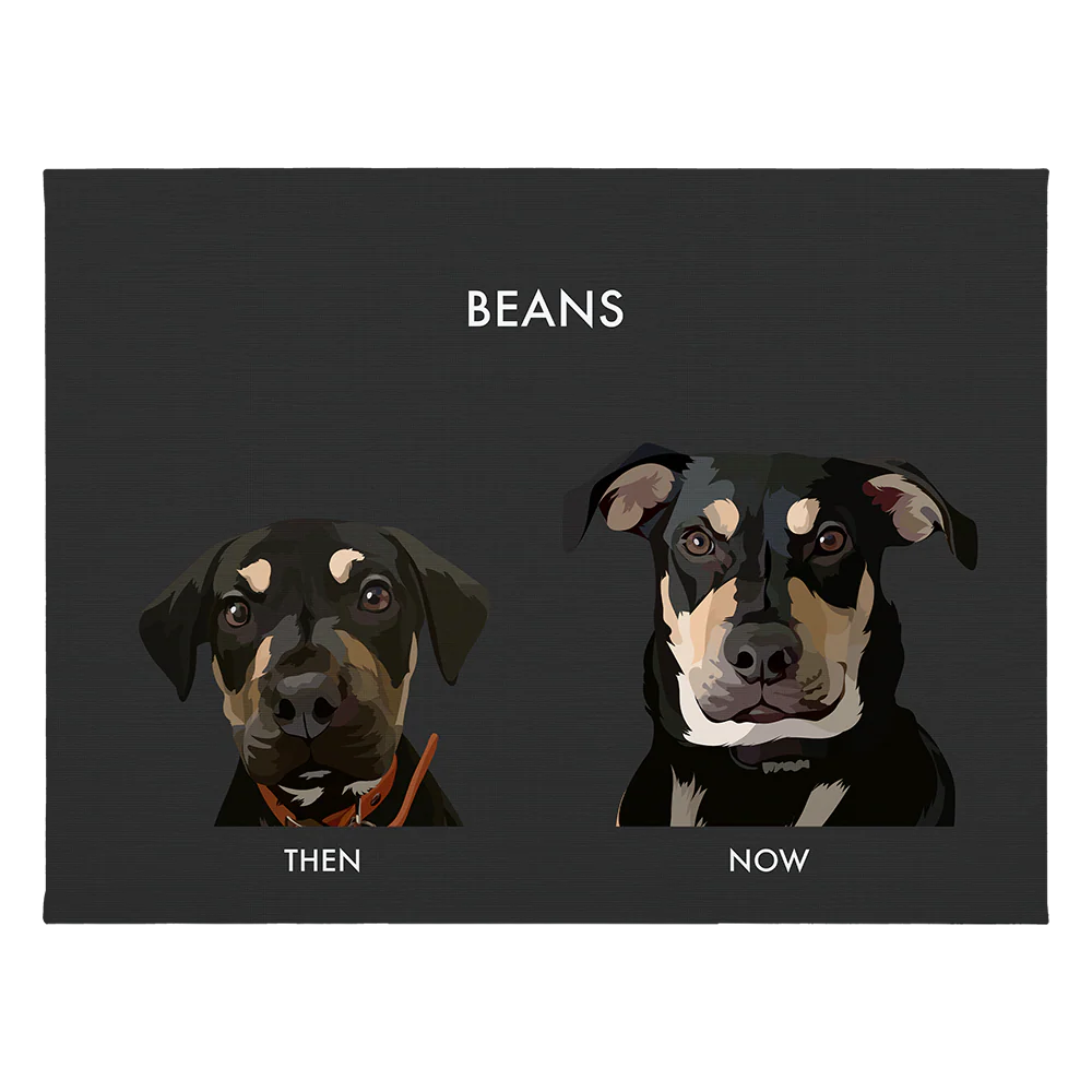 Custom Then vs Now Pet Portrait - Image 71