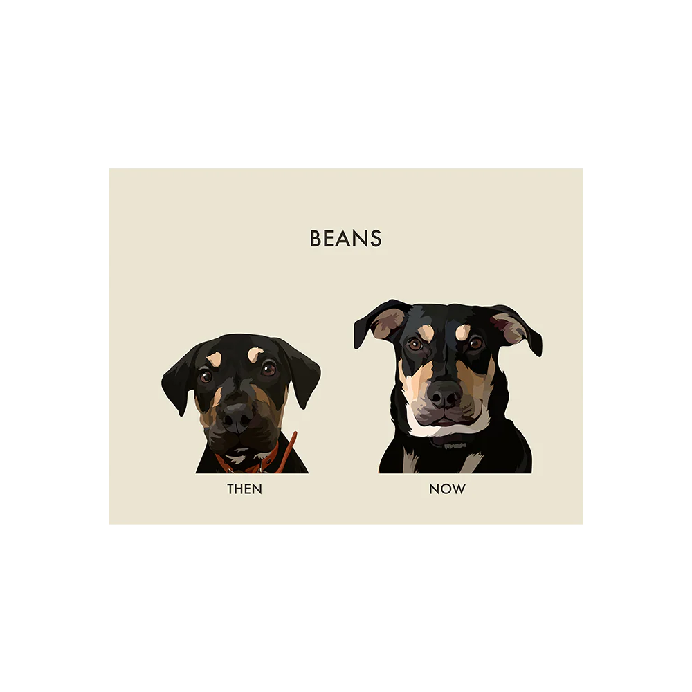 Custom Then vs Now Pet Portrait - Image 8