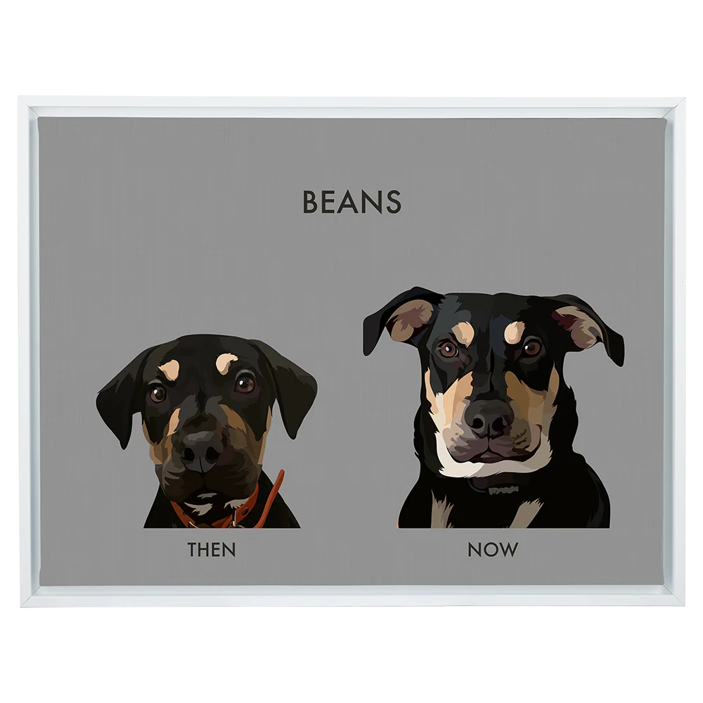 Custom Then vs Now Pet Portrait - Image 85
