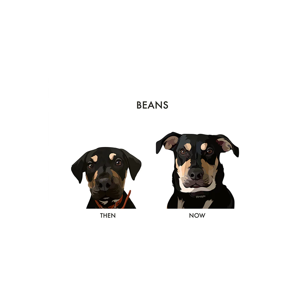 Custom Then vs Now Pet Portrait - Image 9