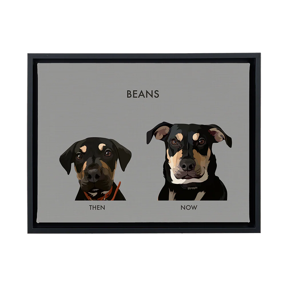 Custom Then vs Now Pet Portrait - Image 94