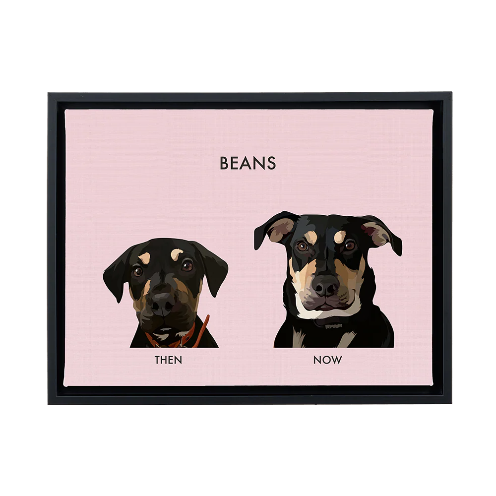 Custom Then vs Now Pet Portrait - Image 95