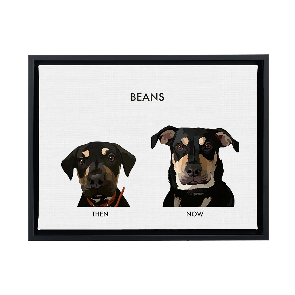 Custom Then vs Now Pet Portrait - Image 99