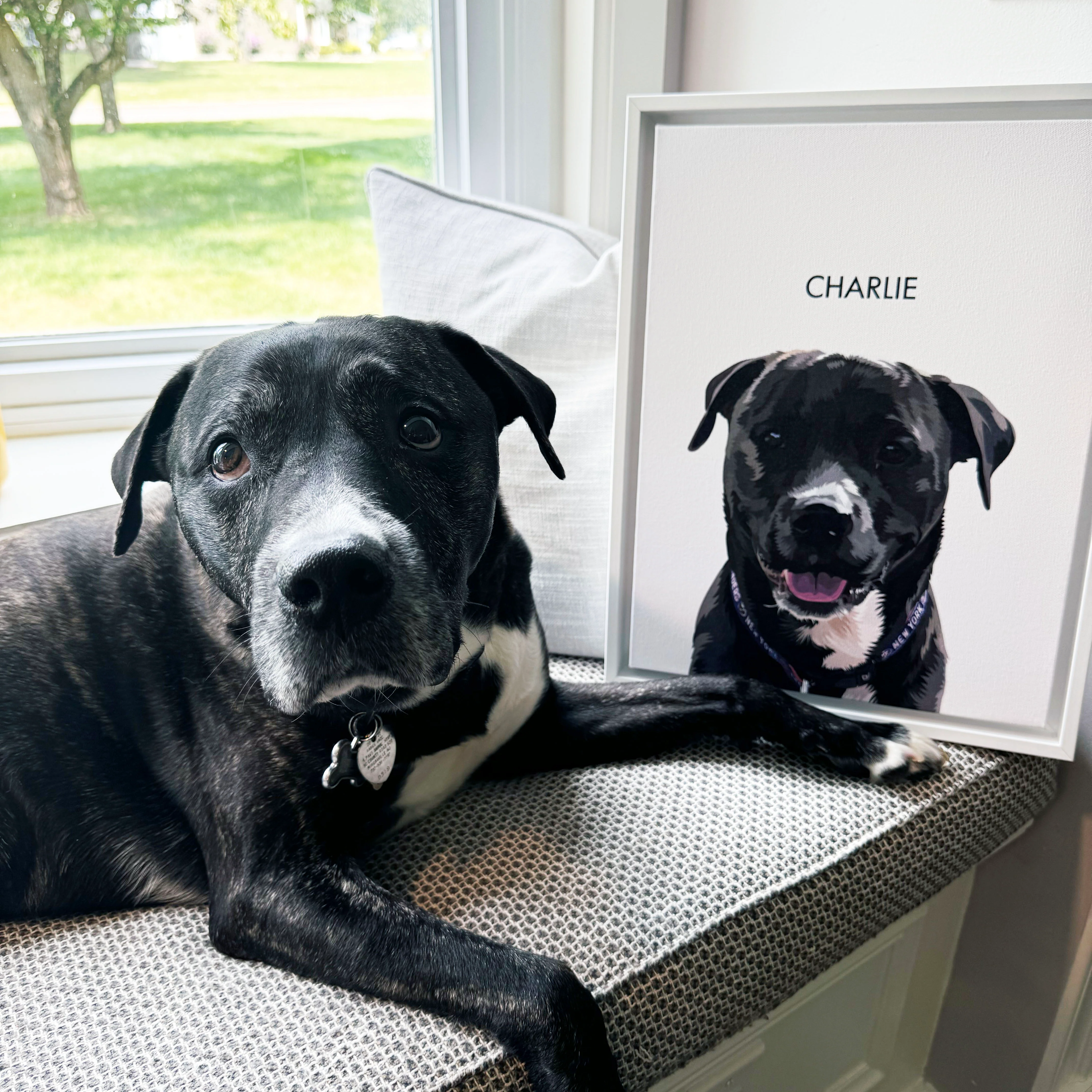 Custom Three Pet Portrait - Image 6