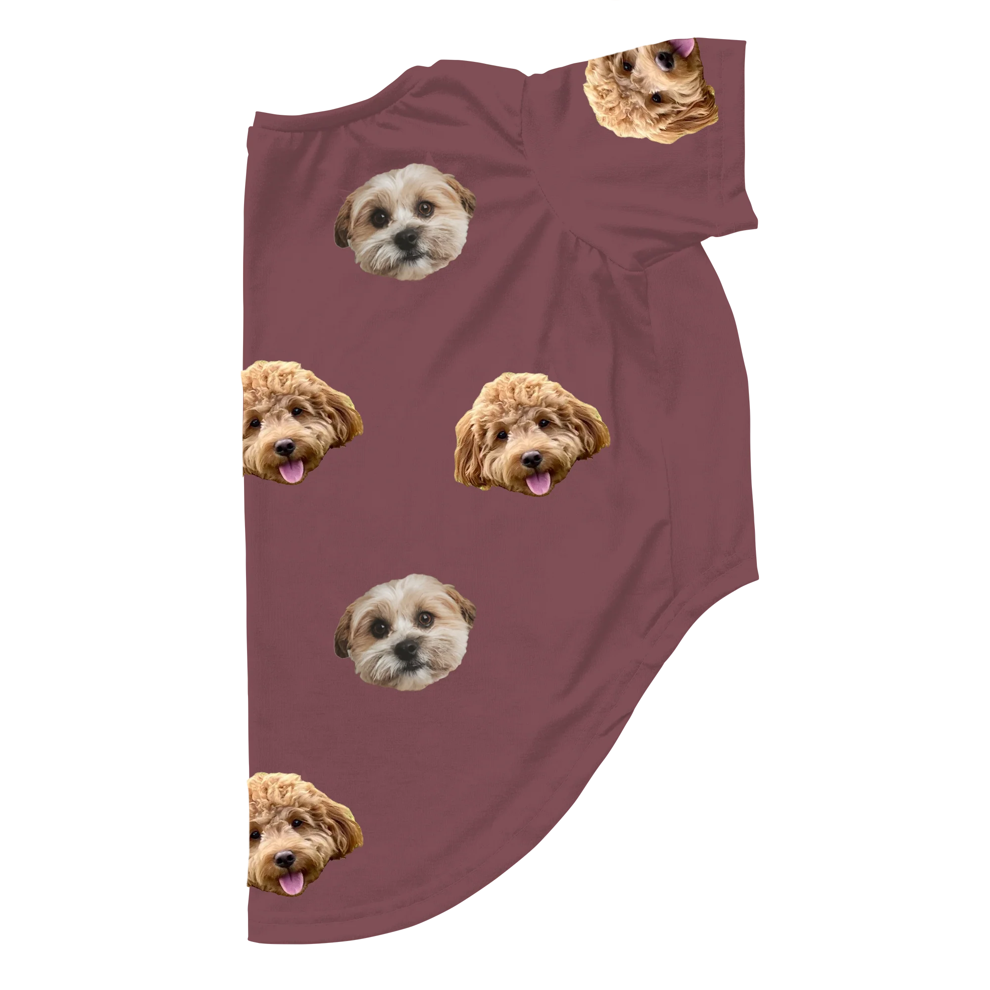 Customized Dog Pajamas - 2 Pets - Image 11
