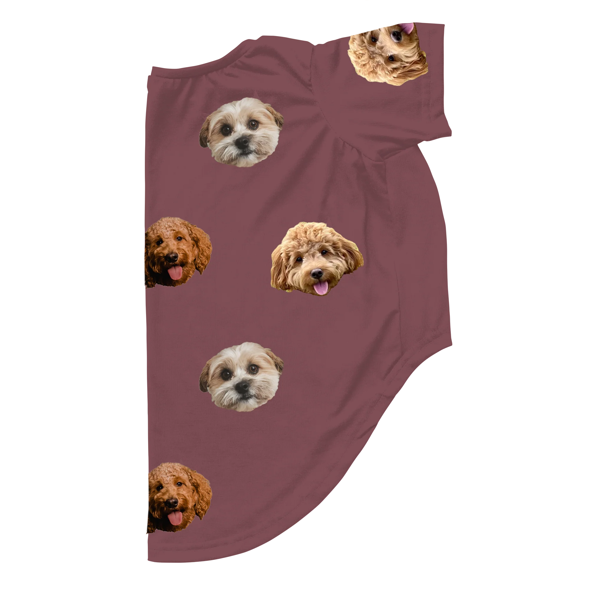 Customized Dog Pajamas - 3 Pets - Image 13