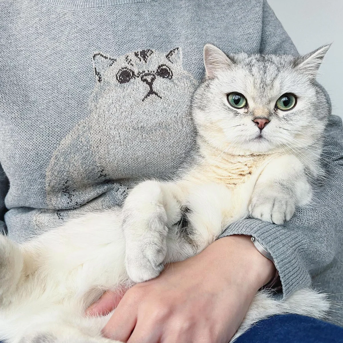 Customized Knit Pet Sweater - Image 16
