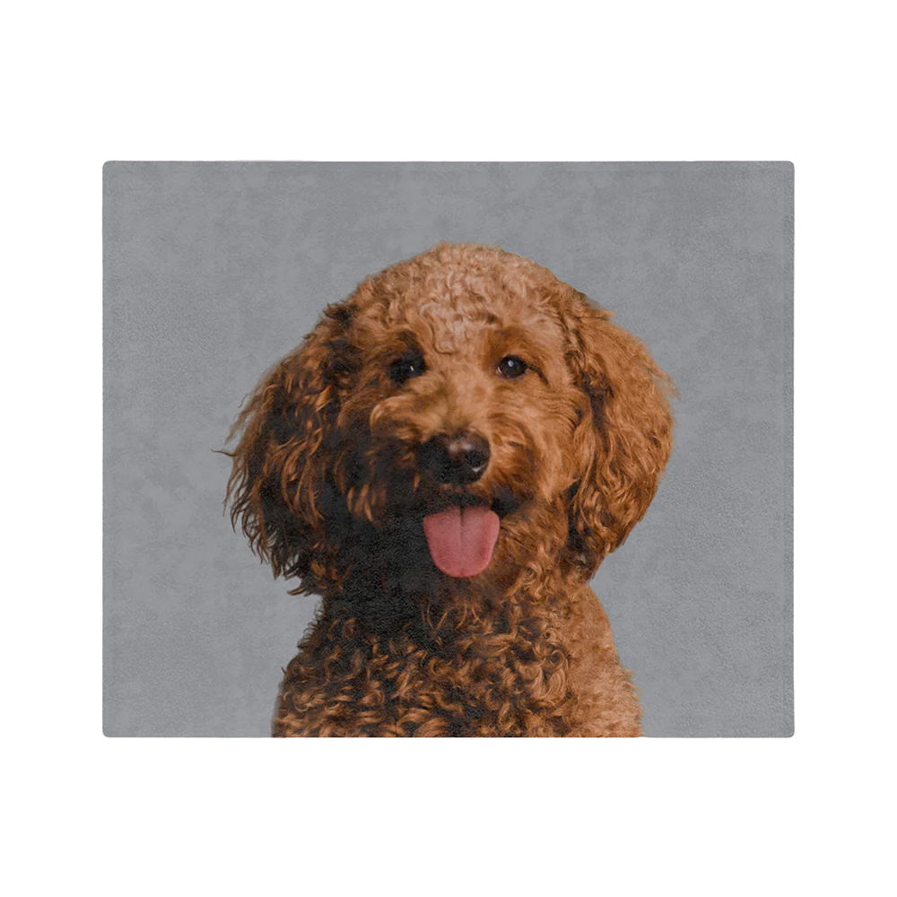 Custom Pet Art Blanket - Image 18