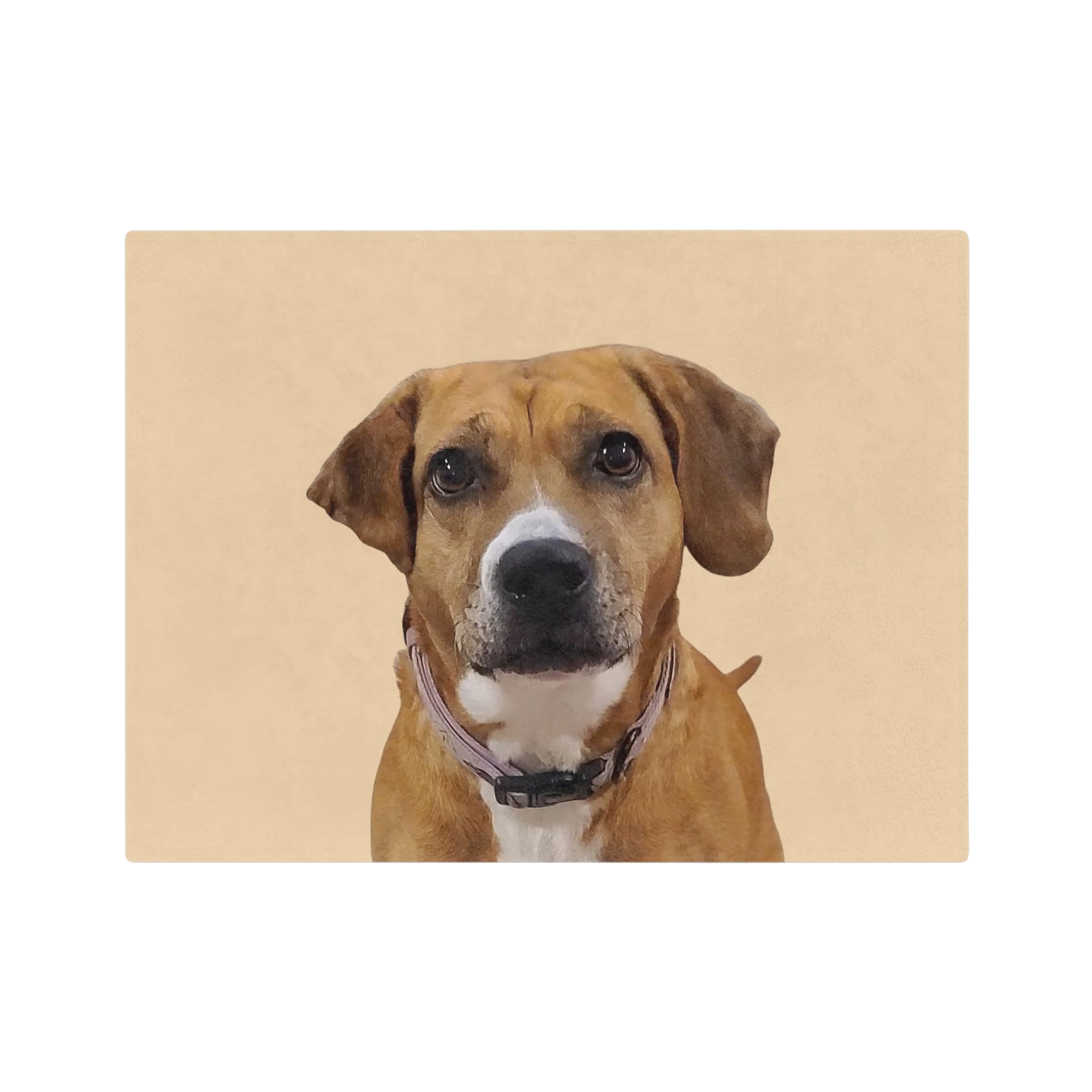 Custom Pet Art Blanket - Image 29
