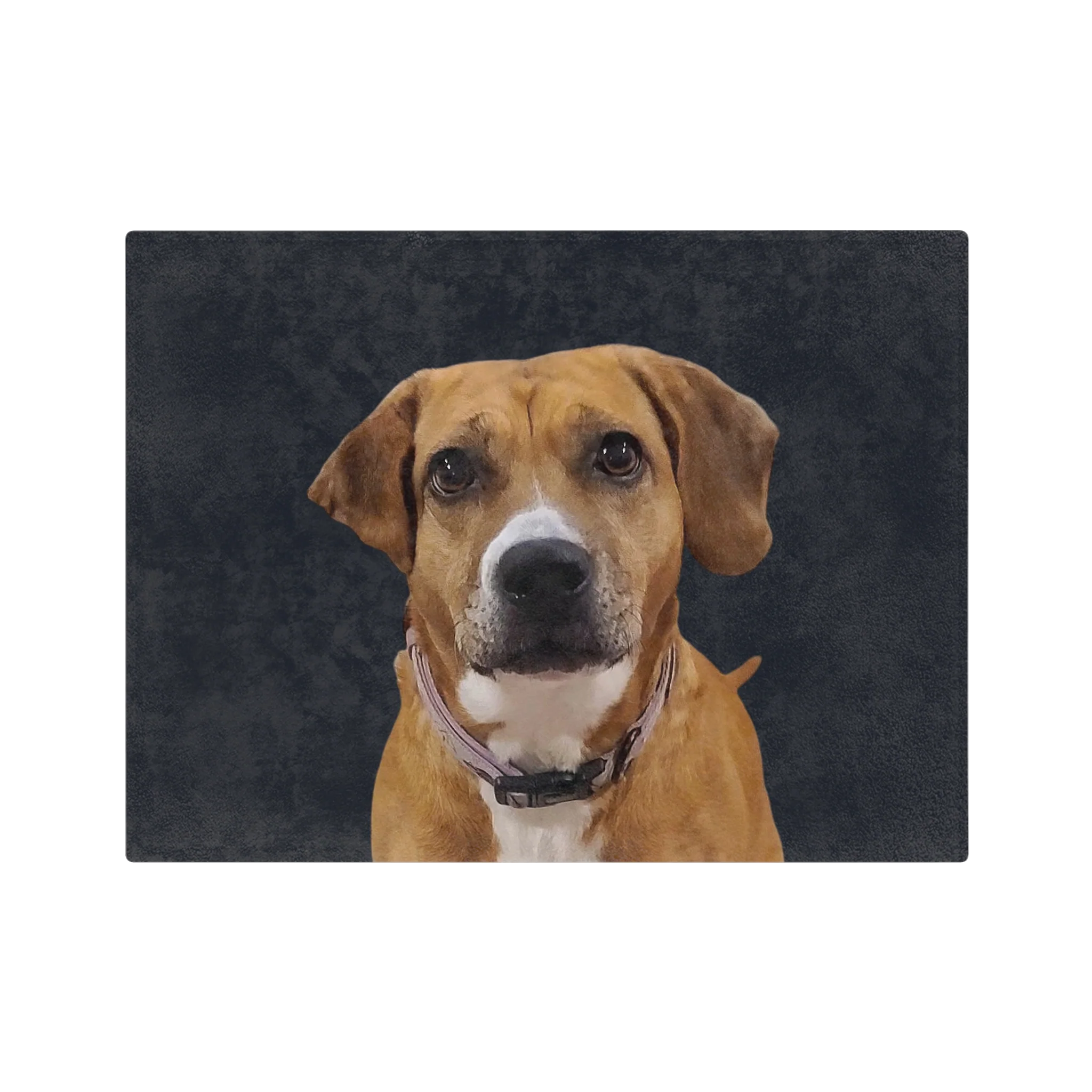 Custom Pet Art Blanket - Image 28