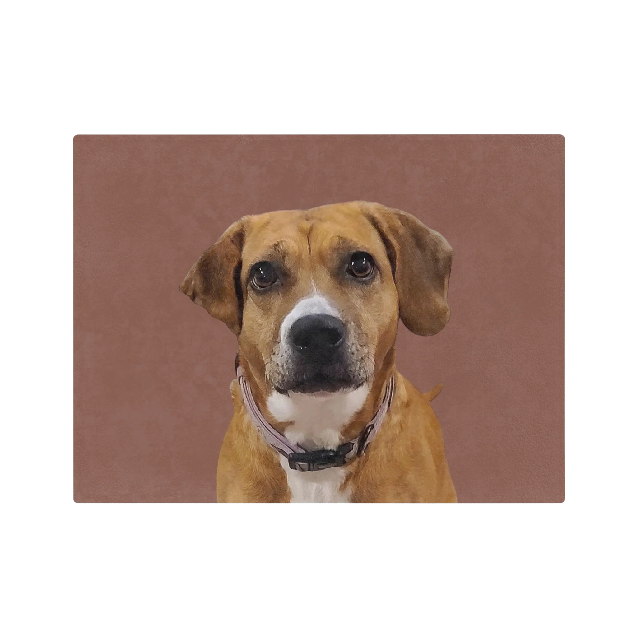 Customized Pet Art Blanket - 1 Pet - Image 34