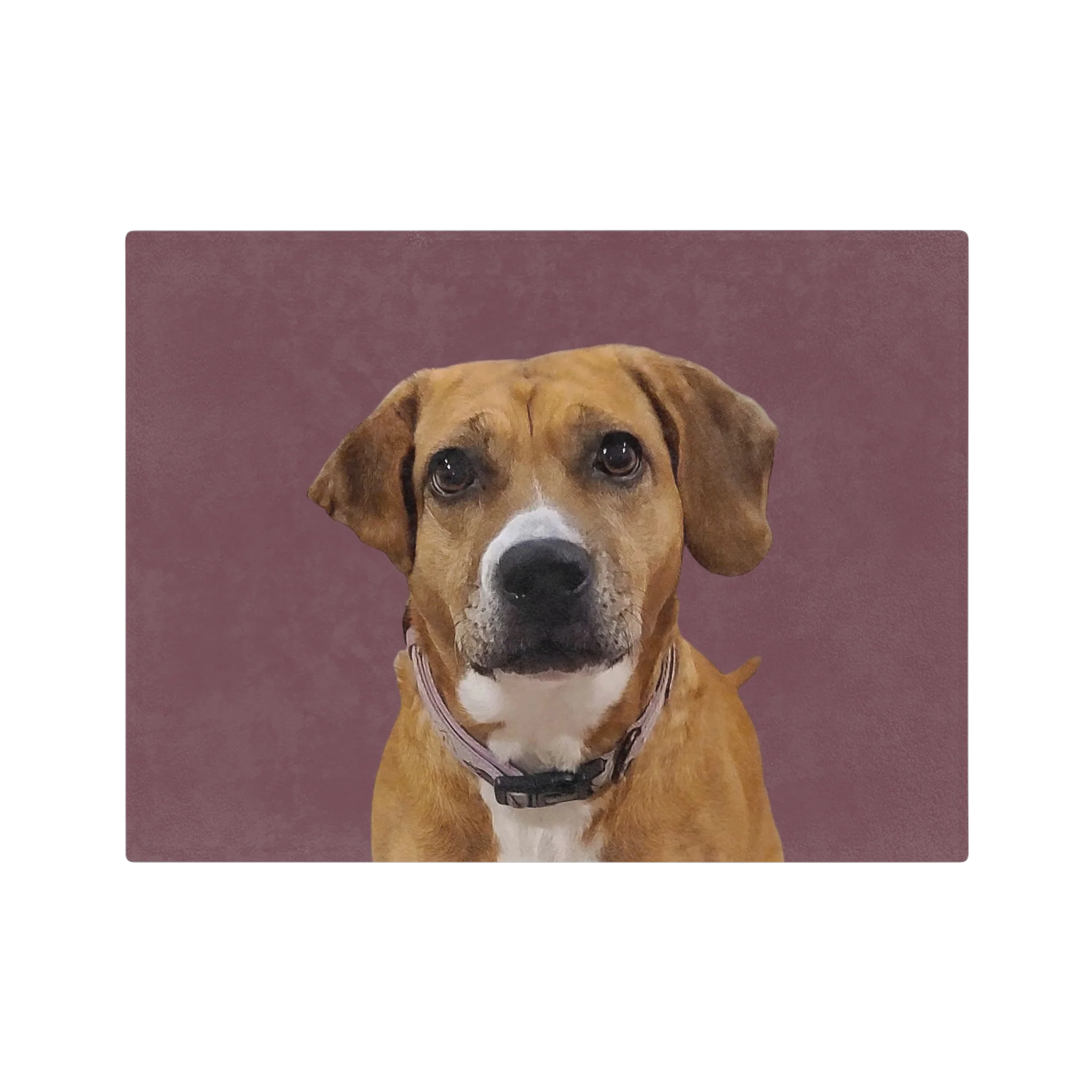 Custom Pet Art Blanket - Image 30