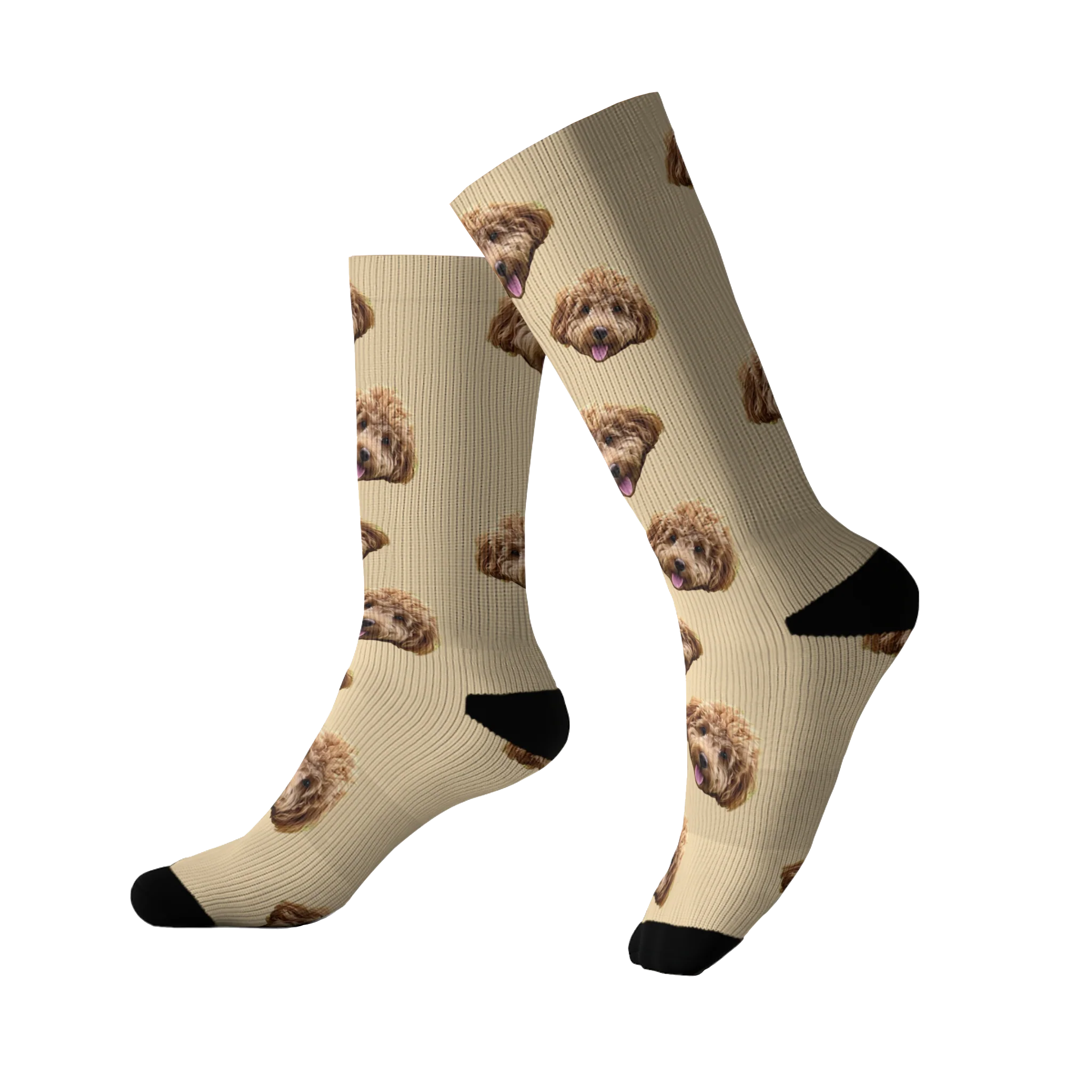 Custom Pet Socks - Image 14