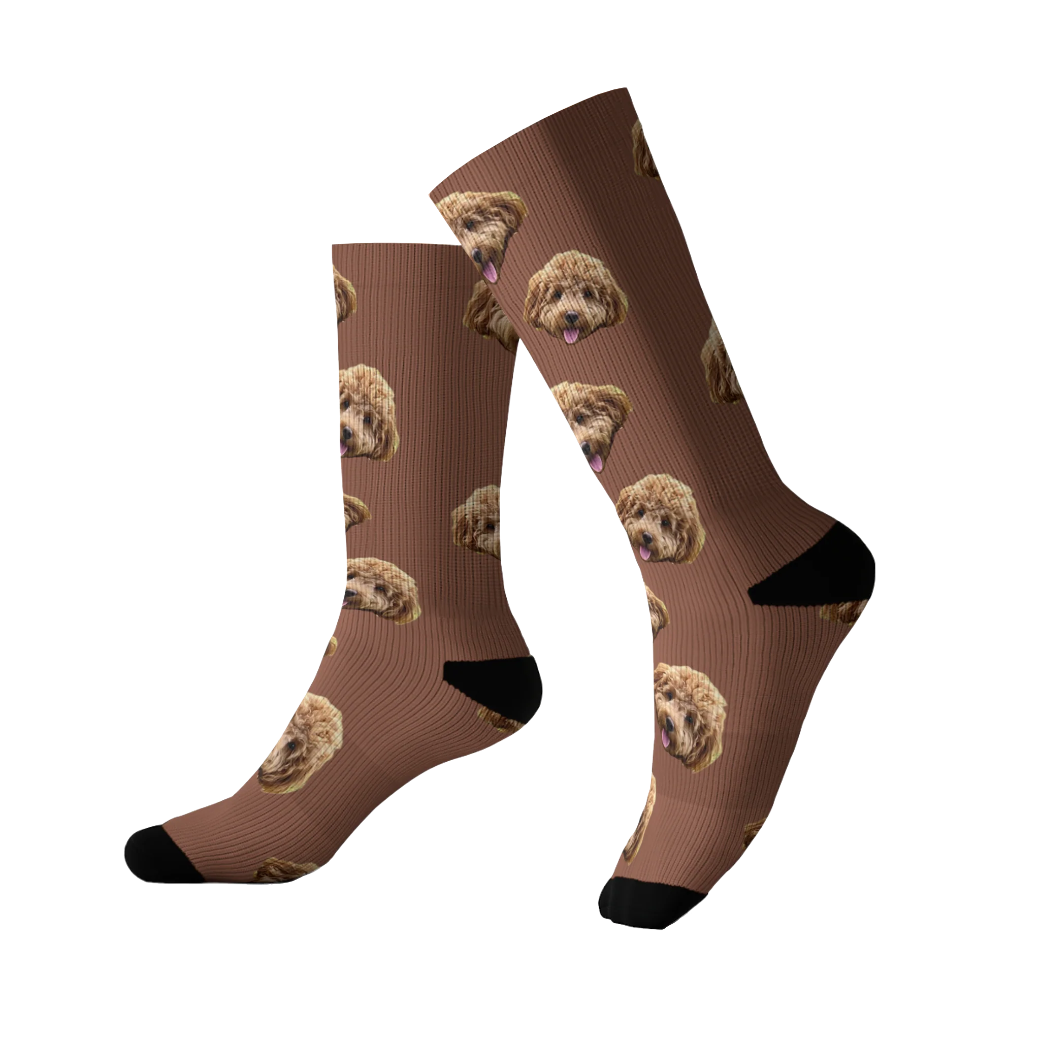Custom Pet Socks - Image 16