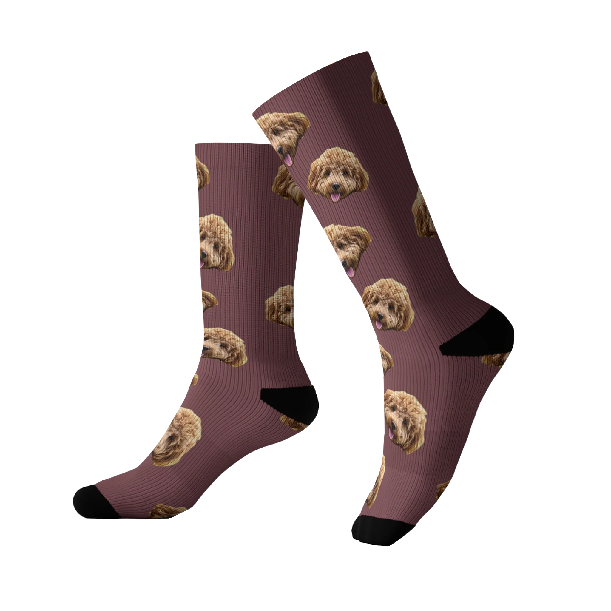 Custom Pet Socks - Image 17