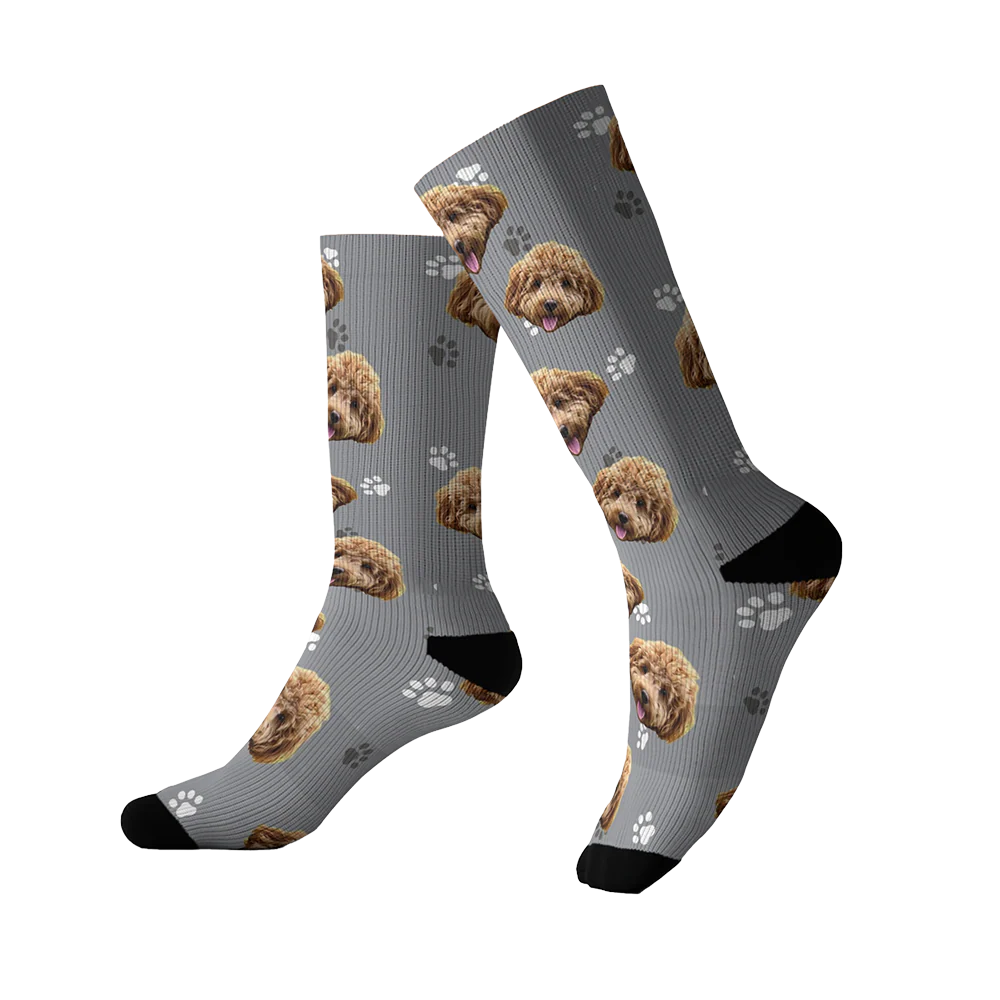 Customized Pet Socks - 3 Pets - Image 9