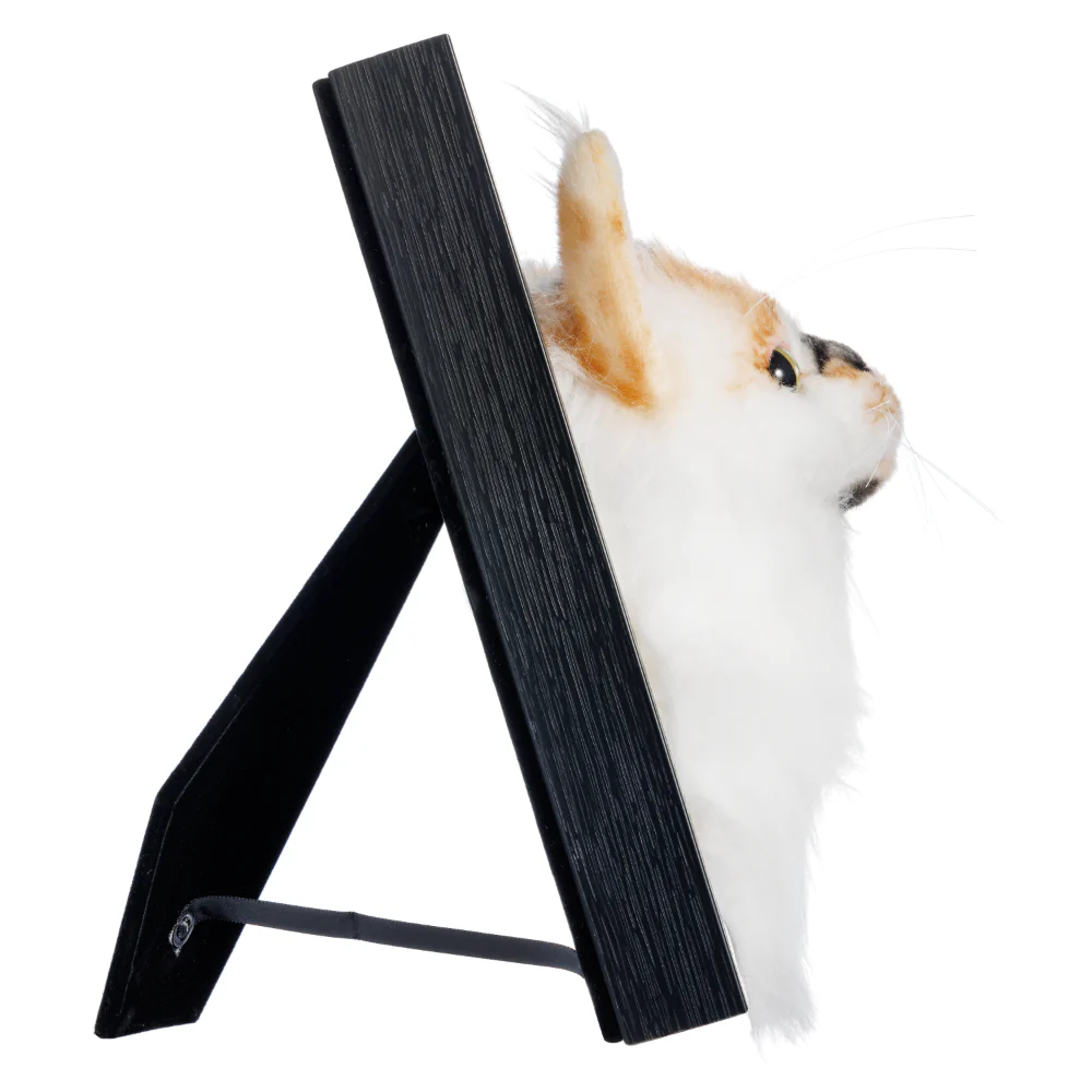 Custom Framed Plush Pet Portrait - Image 11