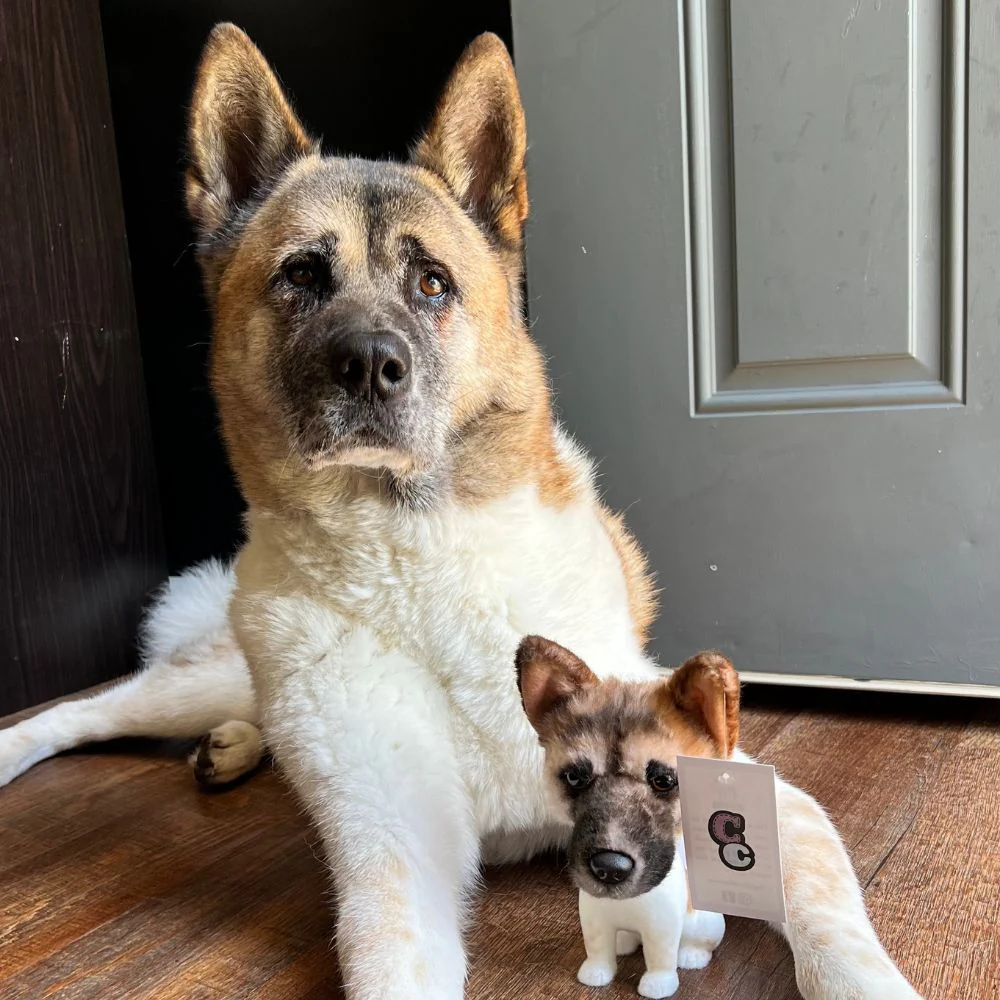 Custom Bobblehead - Image 8